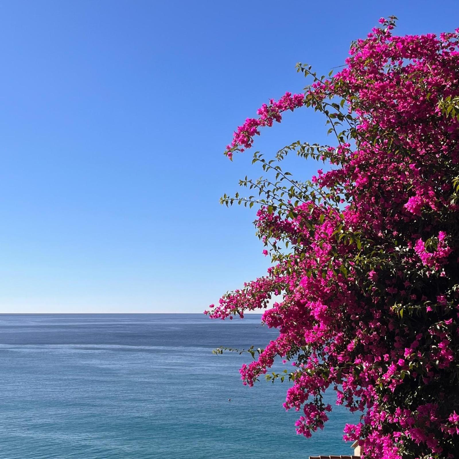 Lo Scoglio Apartment Varigotti Luaran gambar